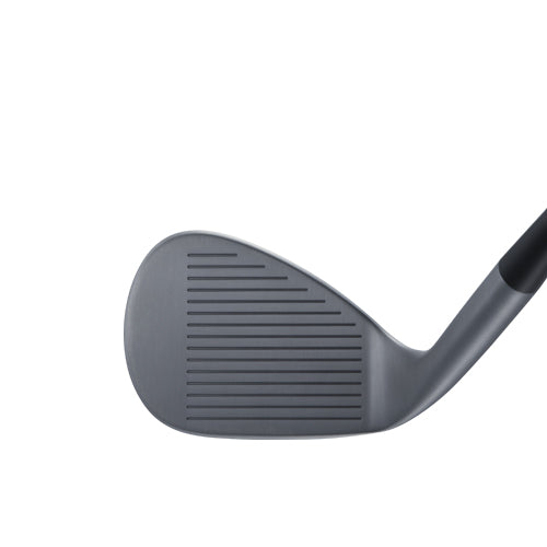 FORGED WEDGE(ノーメッキ) CBT:624I(KURO標準)