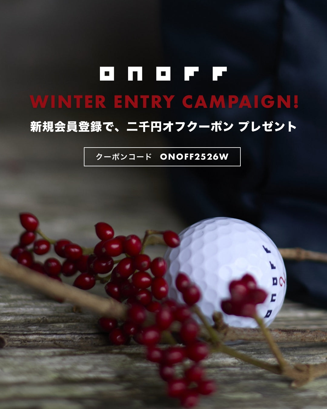 WINTER ENTRY CAMPAIGN 11月20日から1月20日まで