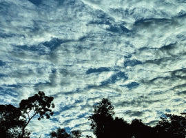 ゴルフと旅人達。 vol.43：   
空を見上げて