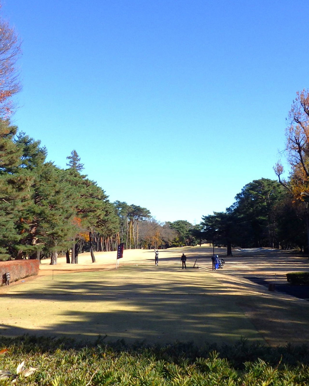 REPORT：PREMIUM GOLF COMPETITION 2025（後編）