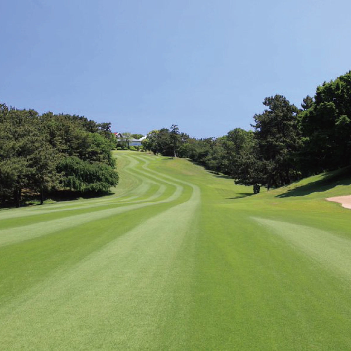 プレミアムプロアマラウンド（5月27日）